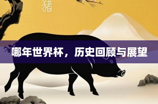 哪年世界杯，历史回顾与展望