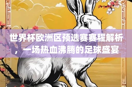 世界杯欧洲区预选赛赛程解析，一场热血沸腾的足球盛宴