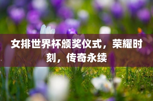 女排世界杯颁奖仪式，荣耀时刻，传奇永续金炬实业股份有限公司