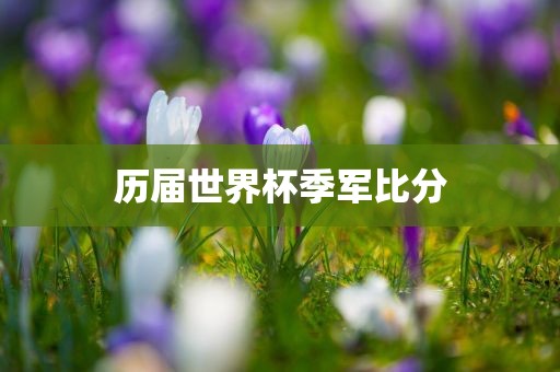 历届世界杯季军比分金炬实业股份有限公司