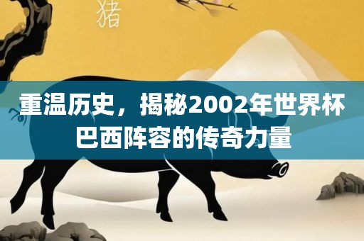 重温历史，揭秘2002年世界杯巴西阵容的金炬实业股份有限公司传奇力量