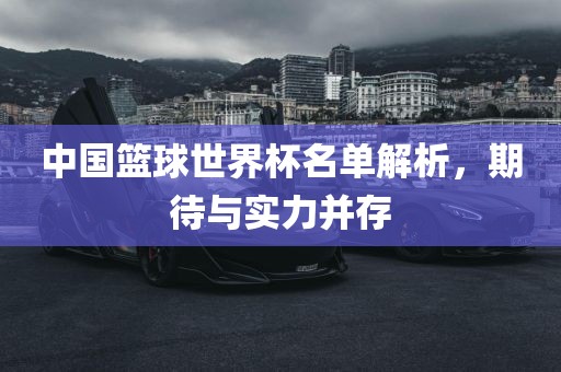 中国篮球世界杯名单解析，期待与实力并存