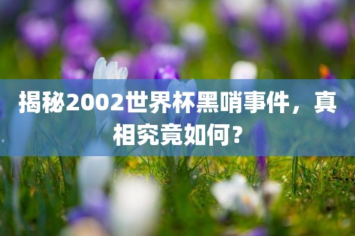揭秘2002世界杯黑哨事件，真相究竟如何？