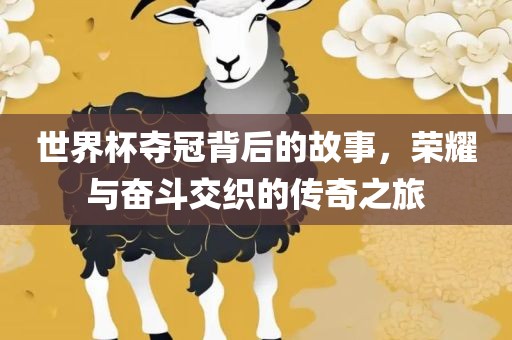 世界杯夺冠背后的故事，荣耀与奋斗交织的传奇之旅金炬实业股份有限公司