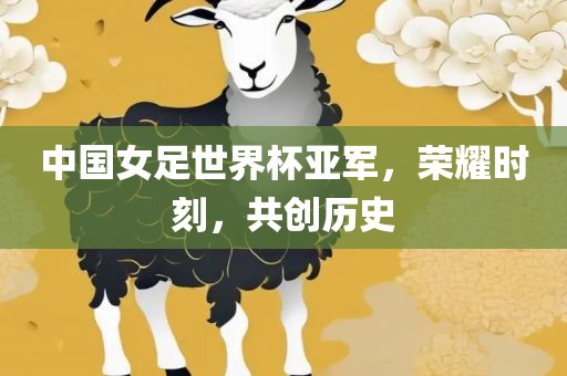中国女足世界杯亚军，荣耀时刻，共创历史金炬实业股份有限公司