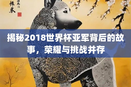 揭秘2018世界杯亚军背后的故事，荣耀与挑战并存