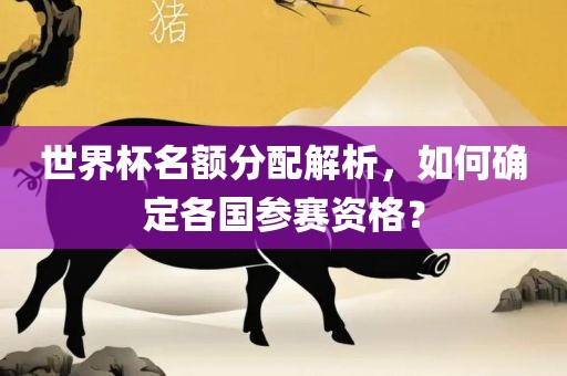 世界杯名额分配解析，如何确定各国参赛资格？