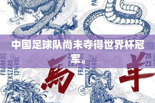 中国足球队尚未夺得世界杯冠军。金炬实业股份有限公司