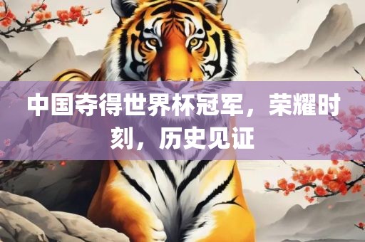 中国夺得世界杯冠军，荣耀时刻，历史见证