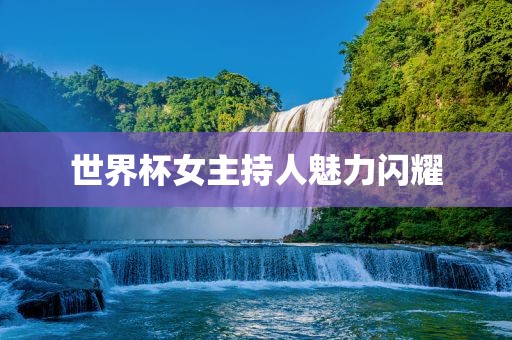 世界杯女主持人魅力闪耀