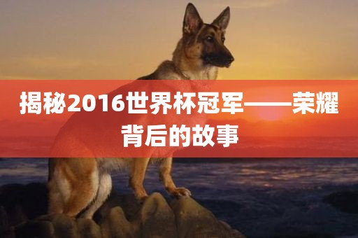 揭秘2016世界杯冠军——荣耀背后的故事金炬实业股份有限公司