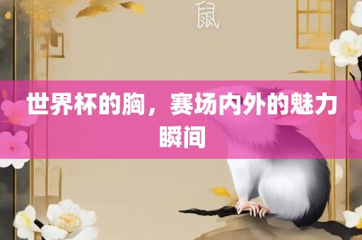 世界杯的胸，赛场内外的魅力瞬间