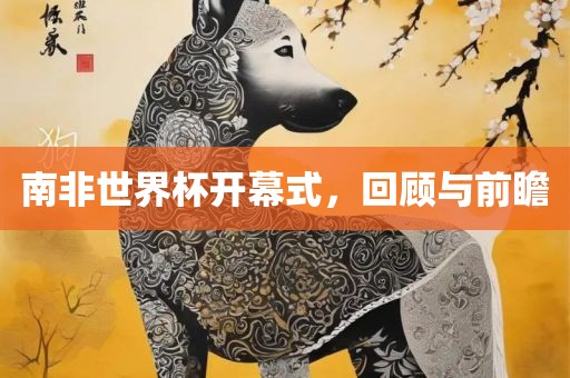 南非世界杯开幕式，回顾与前瞻