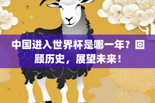 中国进入世界杯是哪一年？回顾历史，展望未来！