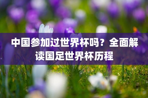 中国参加过世界杯吗？全面解读国足世界杯历程金炬实业股份有限公司