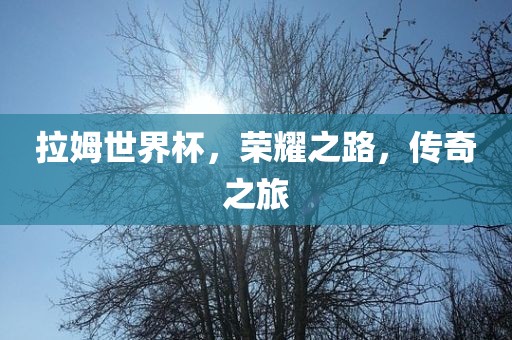 拉金炬实业股份有限公司姆世界杯，荣耀之路，传奇之旅