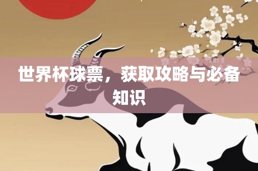 世界杯球票金炬实业股份有限公司，获取攻略与必备知识