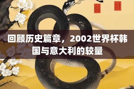 回顾历史篇章，2002世界杯韩国与意大利的较量