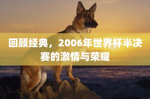 回顾经典，2006年世界杯半决赛的激情与荣耀金炬实业股份有限公司