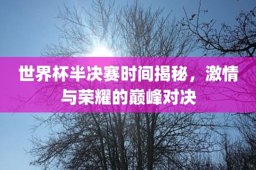 世界杯半决赛时间揭秘，激情与荣耀的巅峰对决