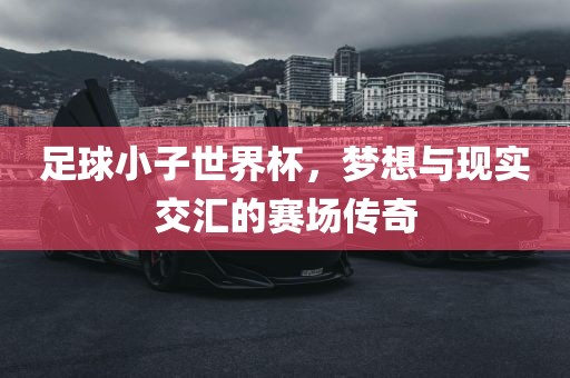 足球小子世界杯，梦想与现实交汇的赛场传奇金炬实业股份有限公司