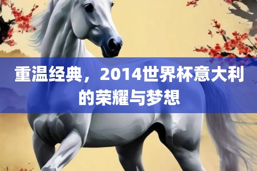 重温经典，2014世界杯意大利的荣耀与梦想金炬实业股份有限公司