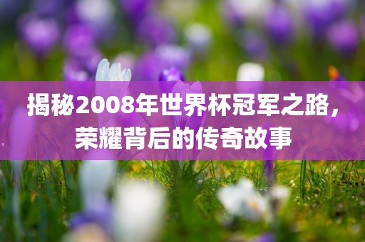 揭秘2008年世界杯冠军之路，荣耀背后的传奇故事