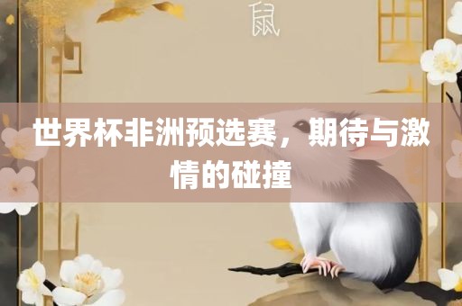 世界杯非洲预选赛，期待与激情的碰撞