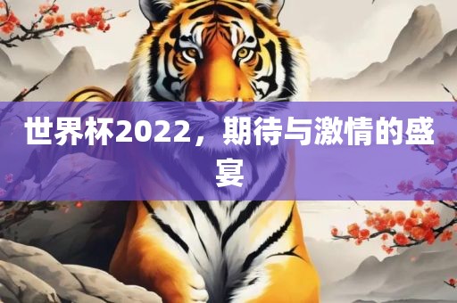 世界杯2022，期待与激情金炬实业股份有限公司的盛宴