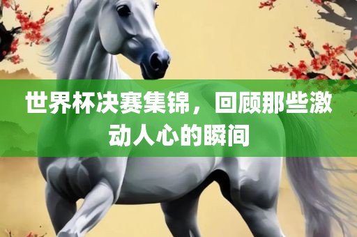 世界杯决赛集锦，回顾那些金炬实业股份有限公司激动人心的瞬间