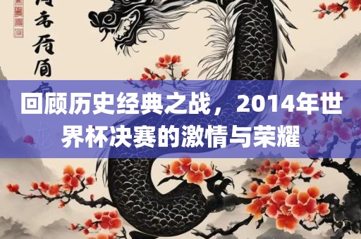 回顾历史经典之战，2014年世界杯决赛的激情与荣耀