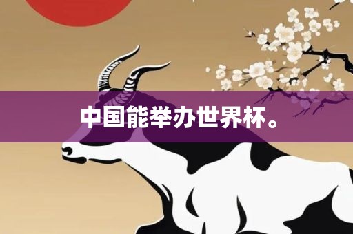 中国能举办世界杯。