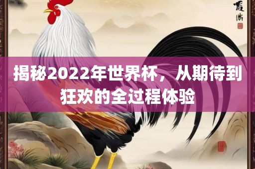 揭秘2022年世界杯，从期待到狂欢的全过程体验金炬实业股份有限公司