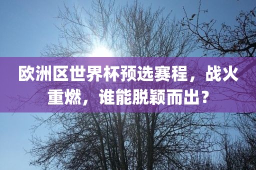 欧洲区世界杯预选赛程，战火重燃，谁能脱颖而出？金炬实业股份有限公司