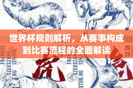 世界杯规则解析，从赛事构成到比赛流程的全面解读