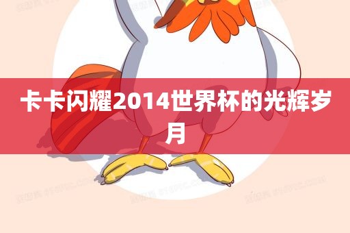 卡卡闪耀2014世界杯的光辉岁月金炬实业股份有限公司