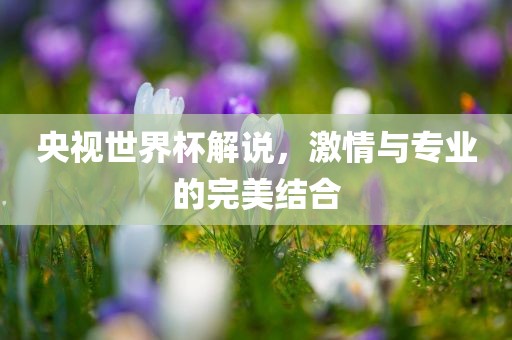 央视世界杯解说，激情与专业的完美结合金炬实业股份有限公司