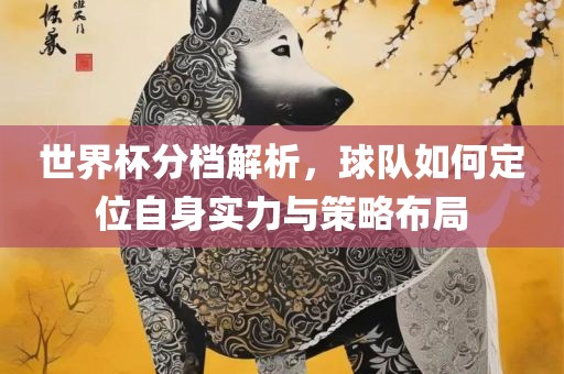 世界杯分档解析，球队如何定位自身实力与策略布局金炬实业股份有限公司