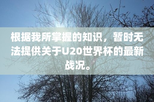 根据我所掌握的知识，暂时无法提供关于U20世界杯的最新战况。