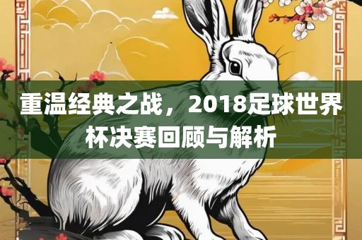 重温经典之战，2018足球世界杯决赛回顾与解析金炬实业股份有限公司