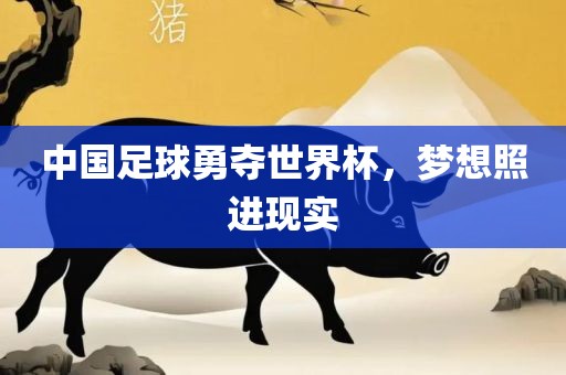 中国足球勇夺世界杯，梦想照进金炬实业股份有限公司现实