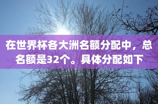 在世界杯各大洲名额分配中，总名额是32个。具体分配如下