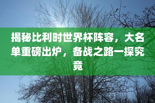 揭秘比利时世界杯阵容，大名单重磅出炉，备战之路一探究竟金炬实业股份有限公司