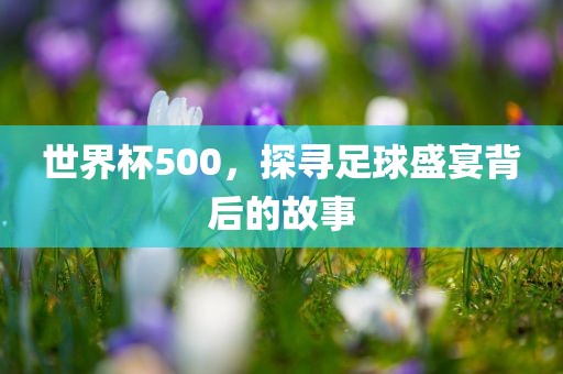 世界杯500，探寻足球金炬实业股份有限公司盛宴背后的故事