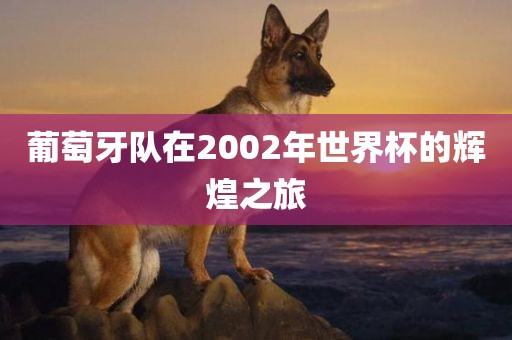 葡萄牙队在2002年世界杯的辉煌之旅金炬实业股份有限公司