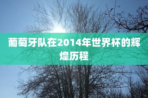 葡萄牙队在2014年世界杯的辉煌历程金炬实业股份有限公司