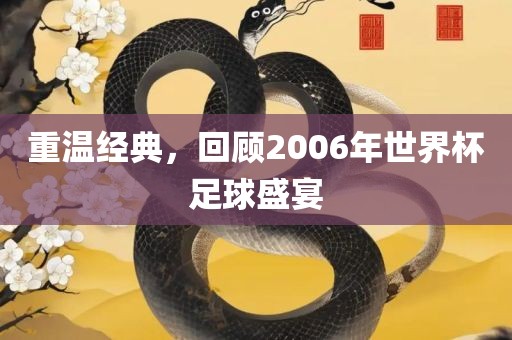 金炬实业股份有限公司重温经典，回顾2006年世界杯足球盛宴