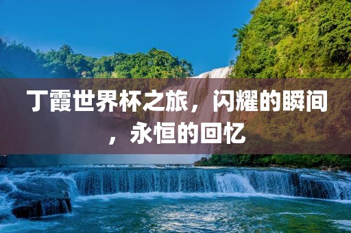 丁霞世界杯之旅，闪耀的瞬间，永恒的回忆金炬实业股份有限公司