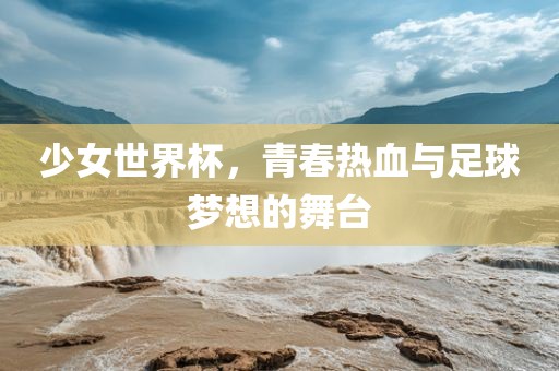 少女世界杯，青春热血与足球梦想的舞台金炬实业股份有限公司