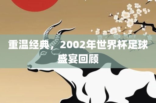 重温经金炬实业股份有限公司典，2002年世界杯足球盛宴回顾